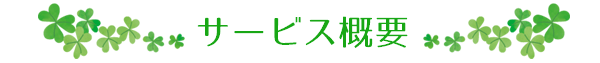 サービス概要